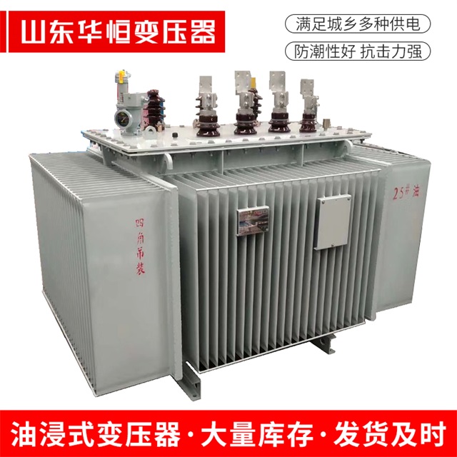 S13-10000/35嘉善嘉善嘉善电力变压器厂家