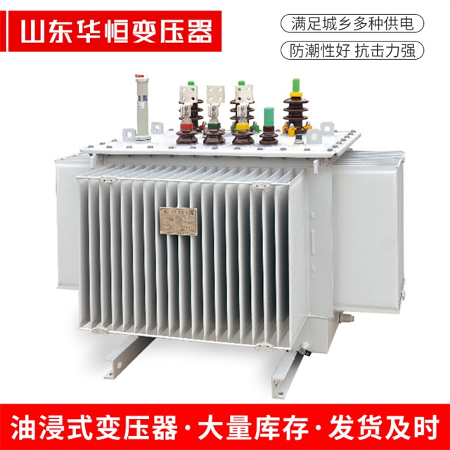 S13-10000/35嘉善嘉善嘉善电力变压器